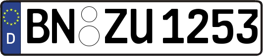 BN-ZU1253