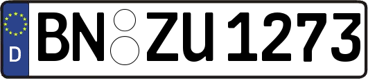 BN-ZU1273