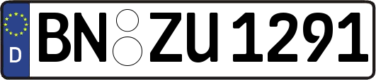 BN-ZU1291