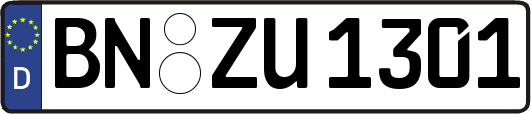 BN-ZU1301