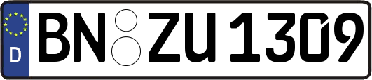 BN-ZU1309