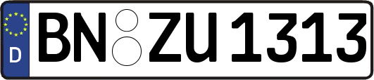 BN-ZU1313