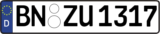 BN-ZU1317