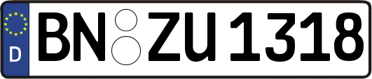 BN-ZU1318
