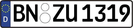 BN-ZU1319