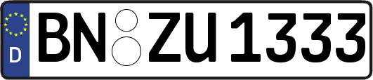 BN-ZU1333