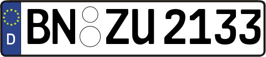 BN-ZU2133