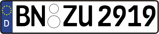 BN-ZU2919