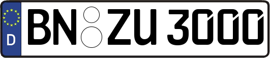 BN-ZU3000