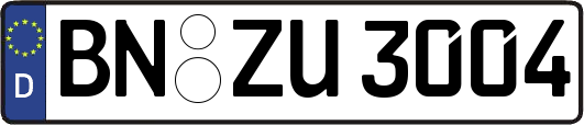 BN-ZU3004