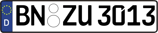 BN-ZU3013