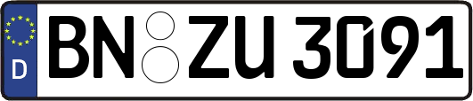BN-ZU3091