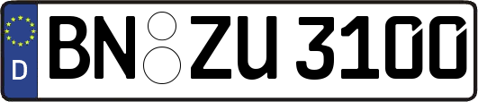 BN-ZU3100