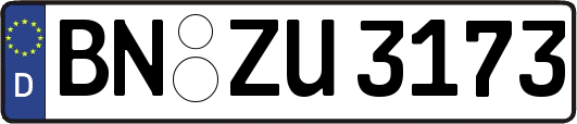 BN-ZU3173