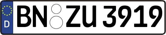 BN-ZU3919