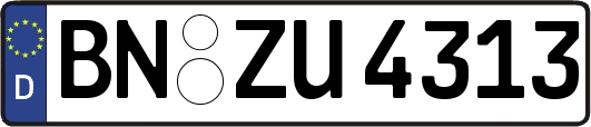 BN-ZU4313