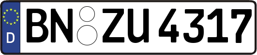 BN-ZU4317