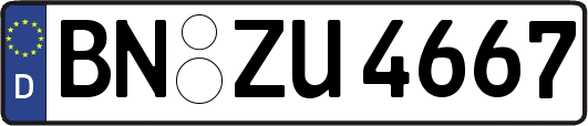 BN-ZU4667