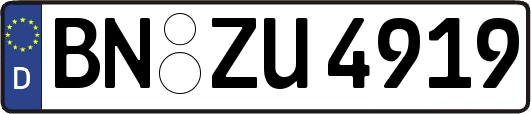 BN-ZU4919