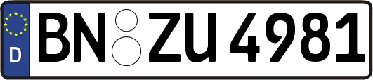 BN-ZU4981