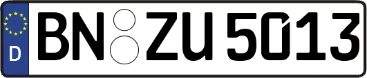 BN-ZU5013