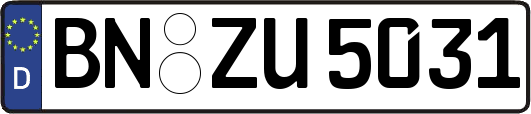 BN-ZU5031