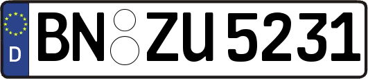 BN-ZU5231