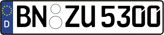 BN-ZU5300