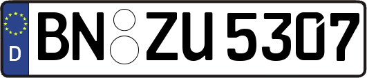 BN-ZU5307
