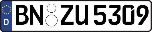 BN-ZU5309