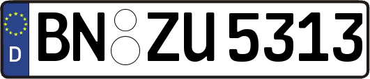 BN-ZU5313