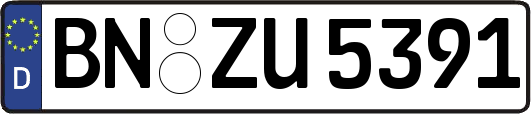 BN-ZU5391