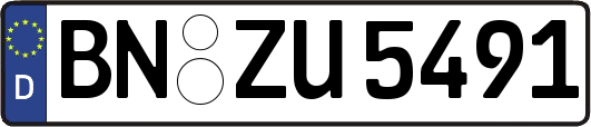 BN-ZU5491