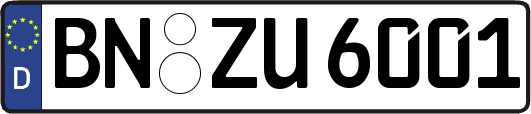 BN-ZU6001