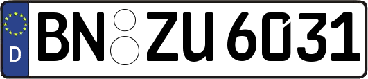 BN-ZU6031
