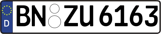 BN-ZU6163