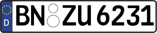BN-ZU6231