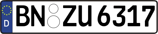 BN-ZU6317