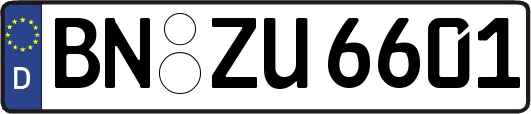 BN-ZU6601