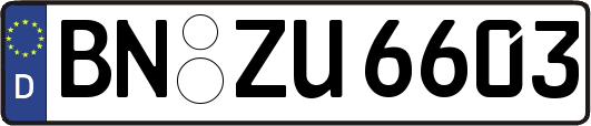 BN-ZU6603