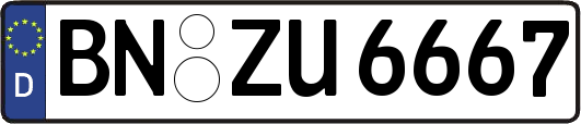 BN-ZU6667