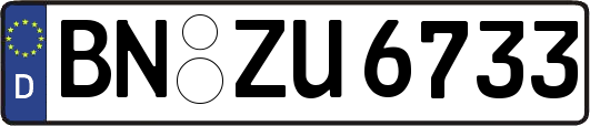 BN-ZU6733