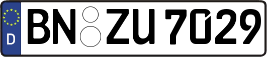 BN-ZU7029