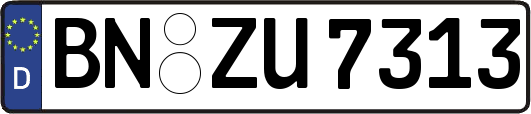 BN-ZU7313