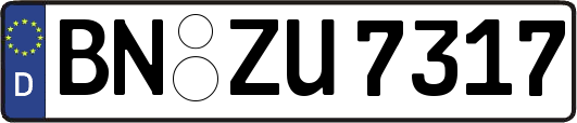 BN-ZU7317