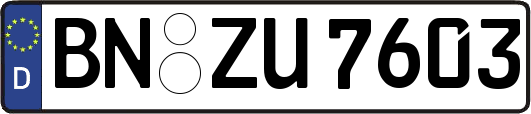 BN-ZU7603