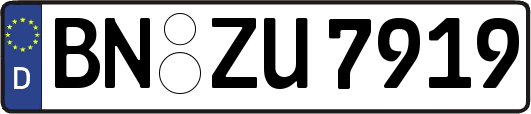 BN-ZU7919