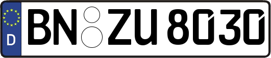 BN-ZU8030