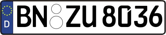 BN-ZU8036