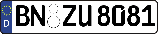 BN-ZU8081